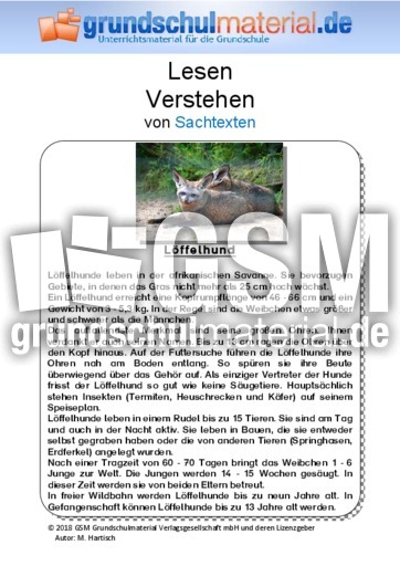 Löffelhund - Sachtext.pdf